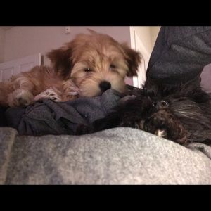 Meet your Posher, Karen